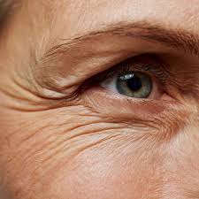 90-dagars appliceringsguide Scandic wellness